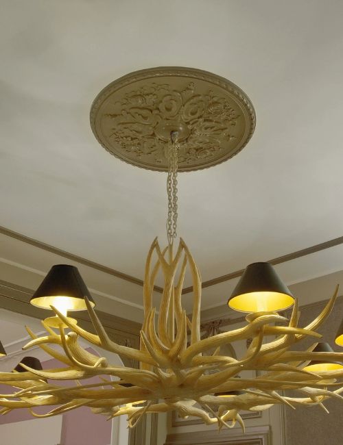 Rozete Decorative